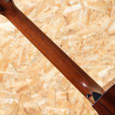 Taylor Next Generation 312ce_7