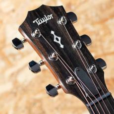 Taylor Next Generation 312ce_8
