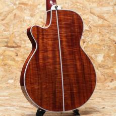 Takamine TSP178ACK N_2