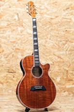 Takamine TSP178ACK N_3