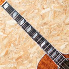 Takamine TSP178ACK N_6