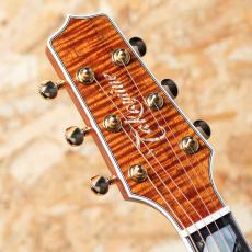 Takamine TSP178ACK N_8