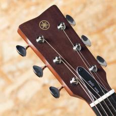 YAMAHA FGX5_8