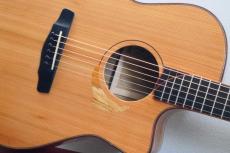 Yokoyama Guitars AR-地楠 #1130 / 地杉 & 楠_4