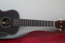 Yokoyama Guitars 【限定モデル】Concert / YU「縞黒檀 / しまこくたん」#178_4