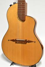 Rick Turner Renaissance RS6 Nylon 中古品 シダー/マホガニー【PU搭載・セミホロウ構造】