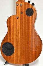 Rick Turner Renaissance RS6 Nylon 中古品 シダー/マホガニー【PU搭載・セミホロウ構造】_2