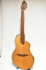 Rick Turner Renaissance RS6 Nylon 中古品 シダー/マホガニー【PU搭載・セミホロウ構造】_3
