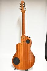 Rick Turner Renaissance RS6 Nylon 中古品 シダー/マホガニー【PU搭載・セミホロウ構造】_4