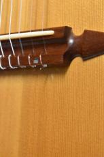 Rick Turner Renaissance RS6 Nylon 中古品 シダー/マホガニー【PU搭載・セミホロウ構造】_9