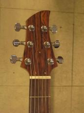 Greco AP-1000_5