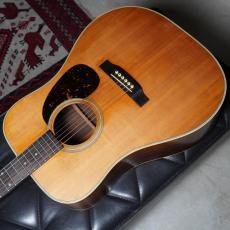 The Kasuga BG-100_3