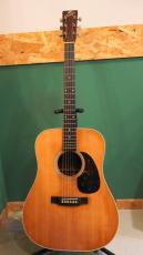 The Kasuga BG-100_11
