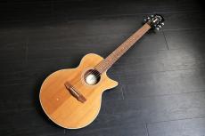 Guild S4CE　お買得品 Songbird　ギルド　S4-CE　Song bird