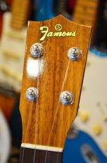 Famous FLS-5GC_3