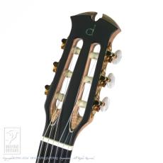 Dowina ACERO-HCE-SWS【36回無金利対象品】_7