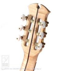 Dowina ACERO-HCE-SWS【36回無金利対象品】_8