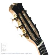Dowina ACERO-HCE-SWS【36回無金利対象品】_9