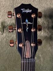 Taylor 【New Model!!】K24ce Special Edition Next Generation #1203196055【Claria™搭載】_4