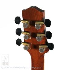Joe Striebel Small Jumbo Cutaway_8