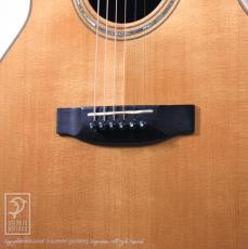 Joe Striebel Small Jumbo Cutaway_10