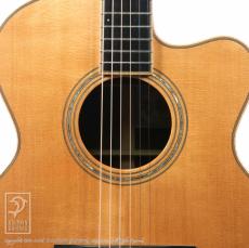 Joe Striebel Small Jumbo Cutaway_11