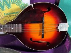 Gibson A-50_2