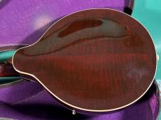 Gibson A-50_3