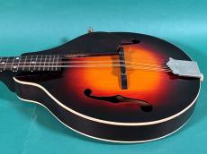 Gibson A-50_4