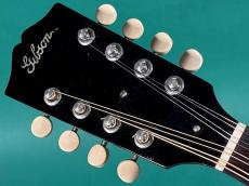 Gibson A-50_5
