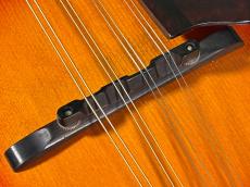 Gibson A-50_10