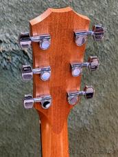Taylor 212ce Walnut #2209254269【48回迄金利0%対象】【送料当社負担】_5