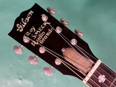 Gibson ROY SMECK RADIO GRANDE_5