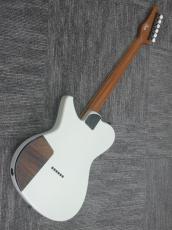 Suzuka Guitar Design Tierra BD111EX_2