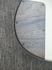 Suzuka Guitar Design Tierra BD111EX_10