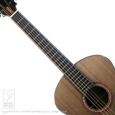 Fujii Guitars 00-12F 神代杉 x 神代欅_5