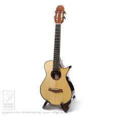 Maestro Guitars Island Series UT SR CSB GH_2