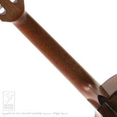 Maestro Guitars Island Series UT SR CSB GH_7