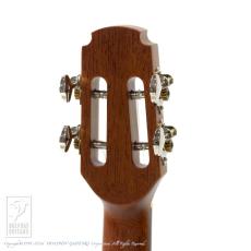 Maestro Guitars Island Series UT SR CSB GH_9