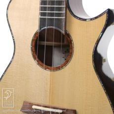 Maestro Guitars Island Series UT SR CSB GH_12