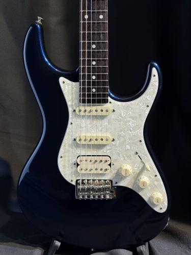FREEDOM CUSTOM GUITAR RESEARCH CUSTOM ORDER Eza-SSH