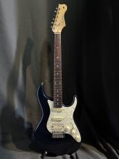 FREEDOM CUSTOM GUITAR RESEARCH CUSTOM ORDER Eza-SSH_2