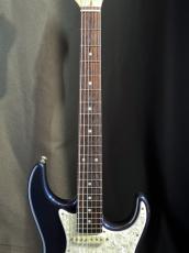 FREEDOM CUSTOM GUITAR RESEARCH CUSTOM ORDER Eza-SSH_3