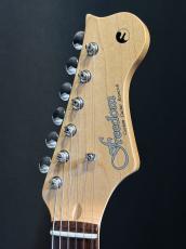 FREEDOM CUSTOM GUITAR RESEARCH CUSTOM ORDER Eza-SSH_4