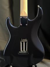 FREEDOM CUSTOM GUITAR RESEARCH CUSTOM ORDER Eza-SSH_5