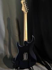 FREEDOM CUSTOM GUITAR RESEARCH CUSTOM ORDER Eza-SSH_6
