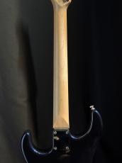 FREEDOM CUSTOM GUITAR RESEARCH CUSTOM ORDER Eza-SSH_7