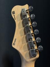 FREEDOM CUSTOM GUITAR RESEARCH CUSTOM ORDER Eza-SSH_8