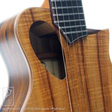 TODA Guitars P-Alien (Piccolo Guitar)【24回無金利対象品】_12