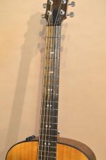 Taylor GT-e Urban Ash　2021年製_3